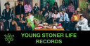 YL  Avatar