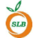 slb-india.com