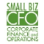 Small Biz CFO logo
