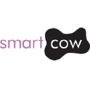Smart Cow Marketing