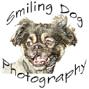 Smiling Dog Photography