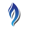 Blueberry Capital Smoke Damage Experts