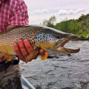 Snake River Angler