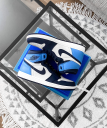 Logo for sneakin.com