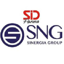sng-group.it