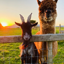 snowdonia-farm-holidays-wales.co.uk