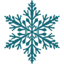 Snowflake Limousine