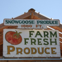 snowgooseproducemarket.com