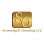 S O Accounting & Consulting LLC logo