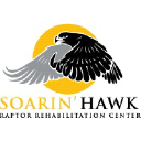 soarinhawk.org