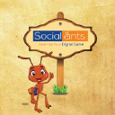Social ants