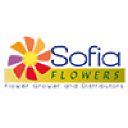 sofia-flowers.com