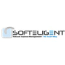 Softeligent LLC