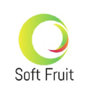 softfruit.solutions