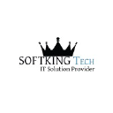 softkingtech.com