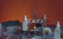 Logo for sokioskincare.com
