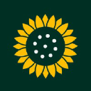 solflowermarketing.com