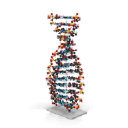 solixbiosystems.com logo