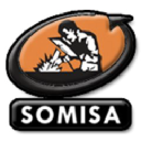 somisa.com.mx