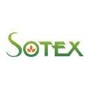 sotex.net.pl
