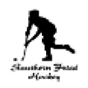 southernfriedhockey.com