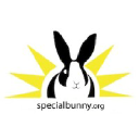 Special Bunny