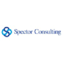 spector-consulting.com