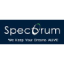 spectrumconsultant.com