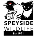 speysidewildlife.co.uk