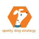 spottydogstrategy.com