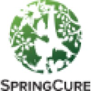 SpringCure LLC