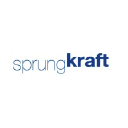 Sprungkraft Consulting
