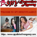 spydetectiveagency.com