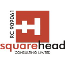 squareheadconsult.com
