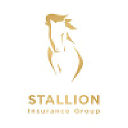 stallioninsgroup.com