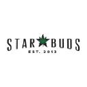 Logo Star Buds