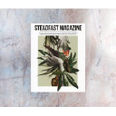 steadfastarte.com