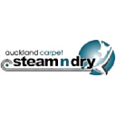 steam-n-dry.co.nz