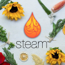 steamcreamsandoils.com