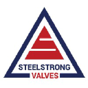 steelstrong.com