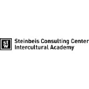 steinbeis-training.com