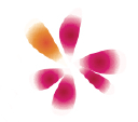Stella's Bridal & Evening Collections logo