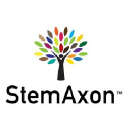 stemaxon.com