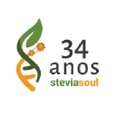 steviasoul.com.br
