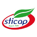 sticap.com.tn