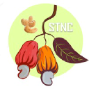 stnc-ci.com