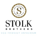 stolkbrothers.nl