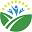 stores.mountainairherbs.com