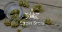 Strain Stars Riverhead Logo