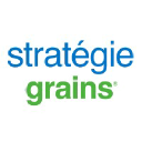 strategie-grains.com